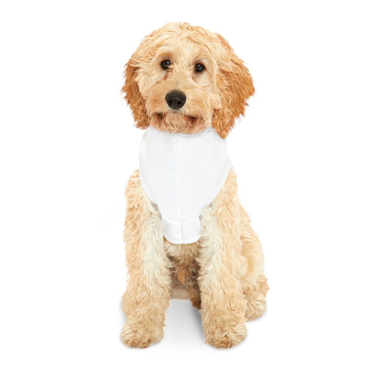 Mighty POTS Protector Pet Hoodie - Image 4
