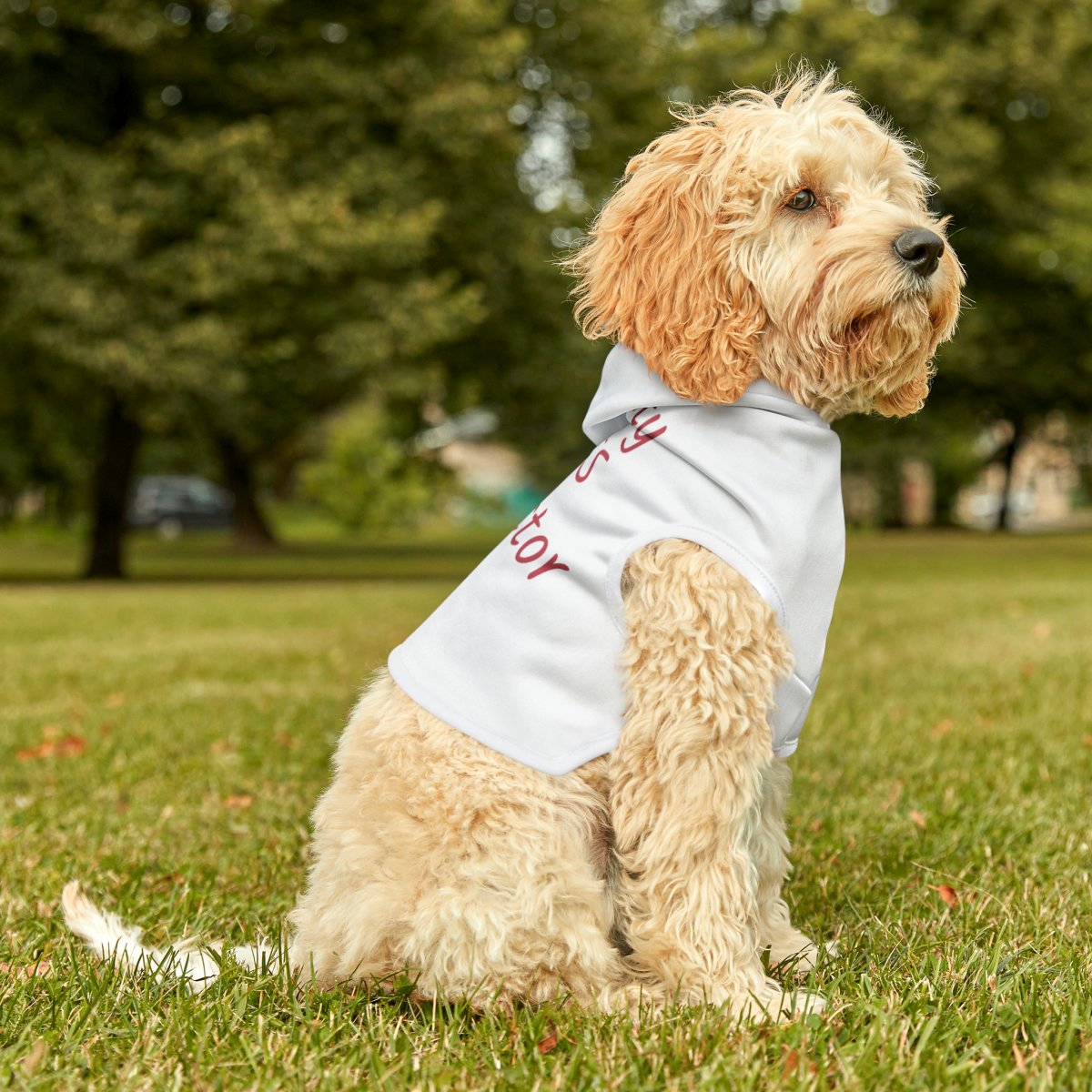 Mighty POTS Protector Pet Hoodie - Image 8